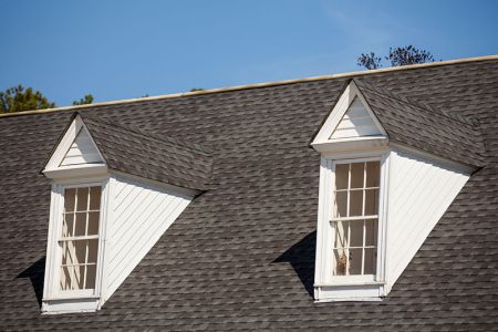 Roof cleaning professional